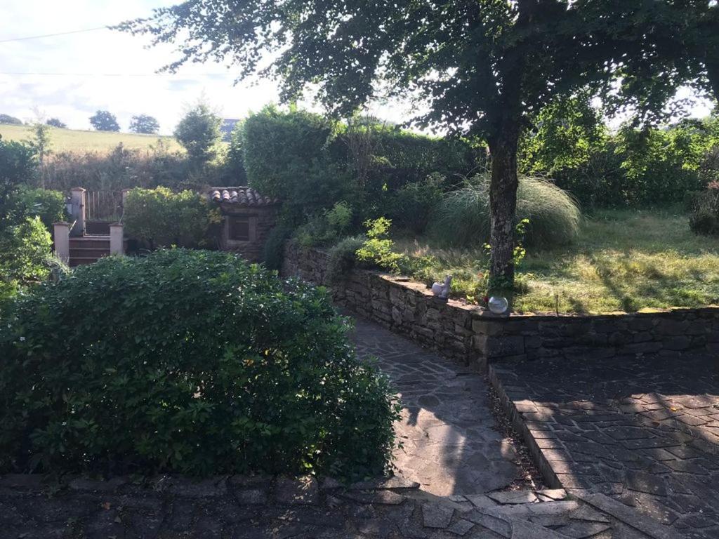 Le Gite De Las Peyros Mirandol-Bourgnounac Exteriér fotografie