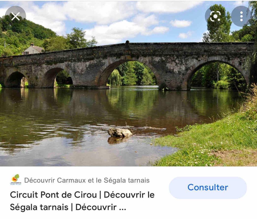 Le Gite De Las Peyros Mirandol-Bourgnounac Exteriér fotografie